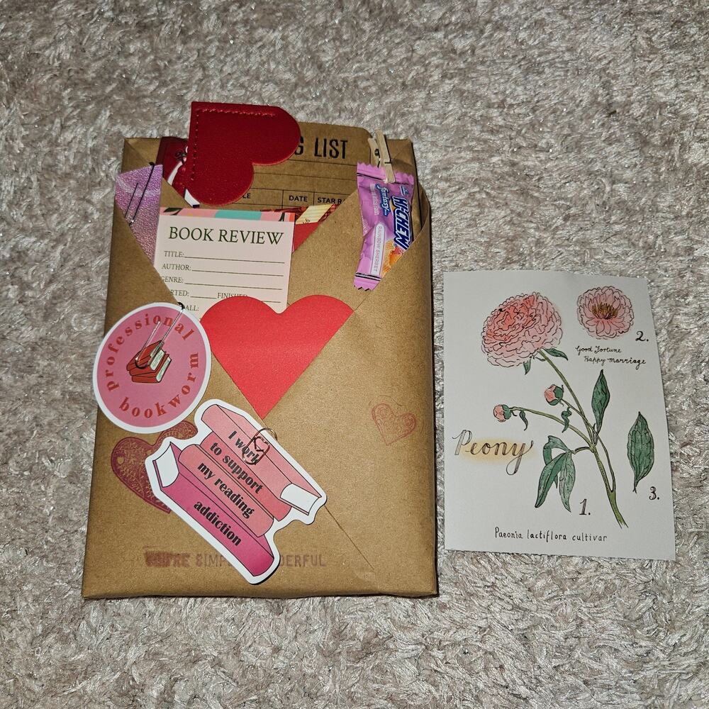 Blind Date W/ A Book- Mystery/Drama/Social Commentary Bundle #7